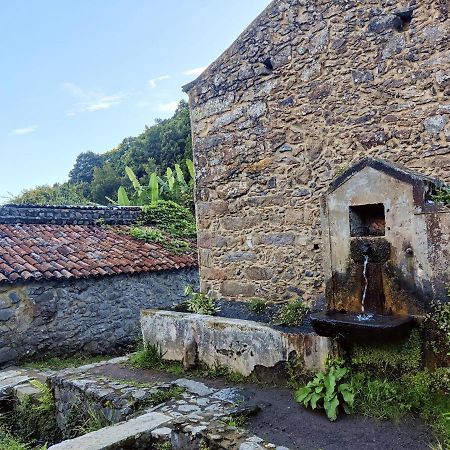 Aldeia Do Sanguinho Faial da Terra Bagian luar foto